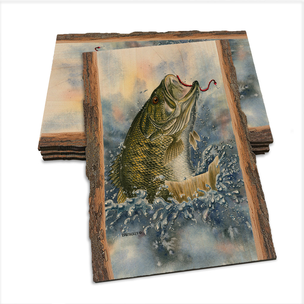 Bartholet's Bucket Mouth  - Live Edge Live Edge Postcard (5pk // $2.80ea)