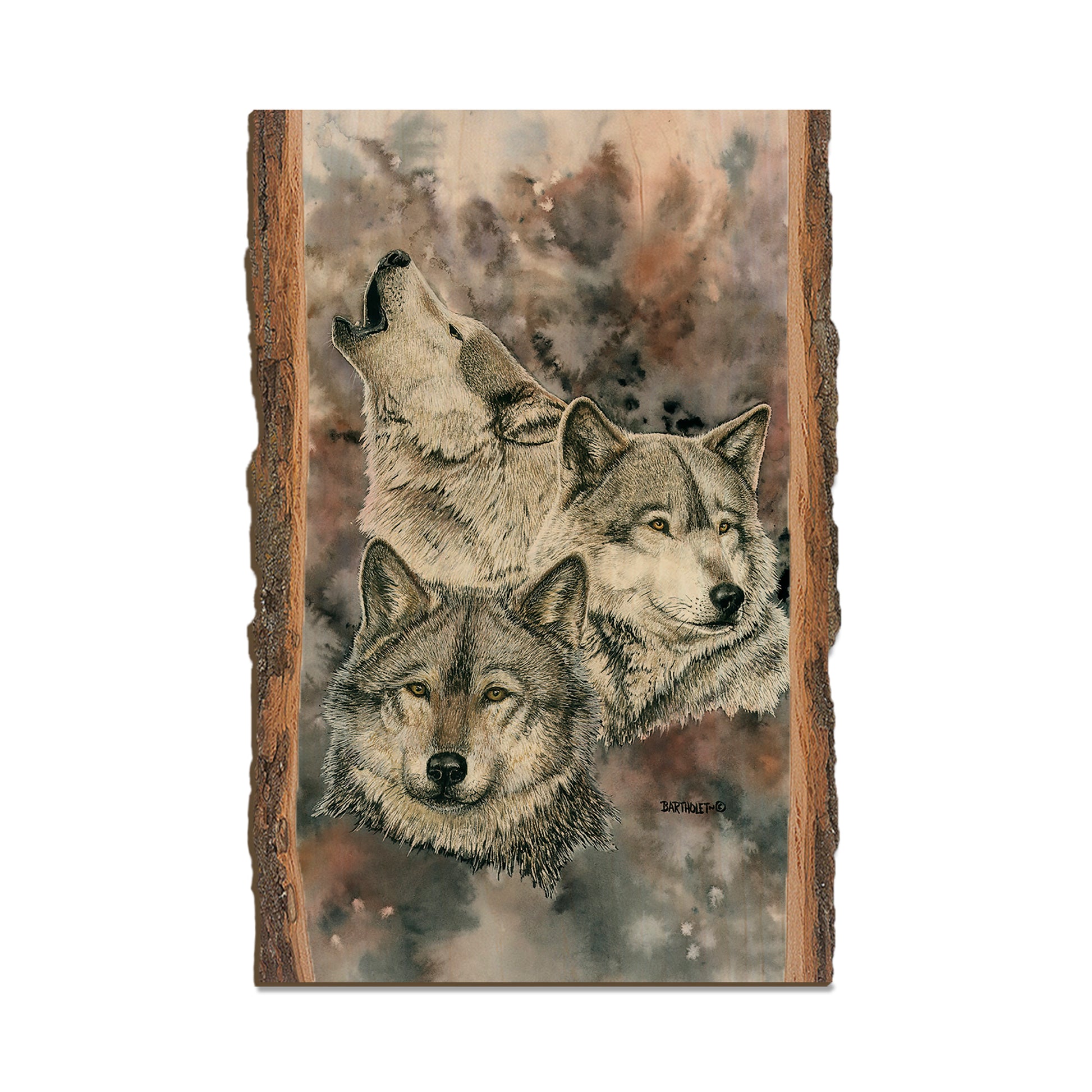 Bartholet's Brethren  - Live Edge Live Edge Postcard (5pk // $2.80ea)