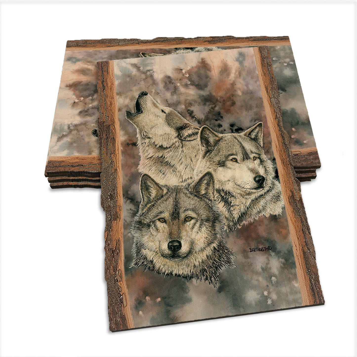 Bartholet's Brethren  - Live Edge Live Edge Postcard (5pk // $2.80ea)