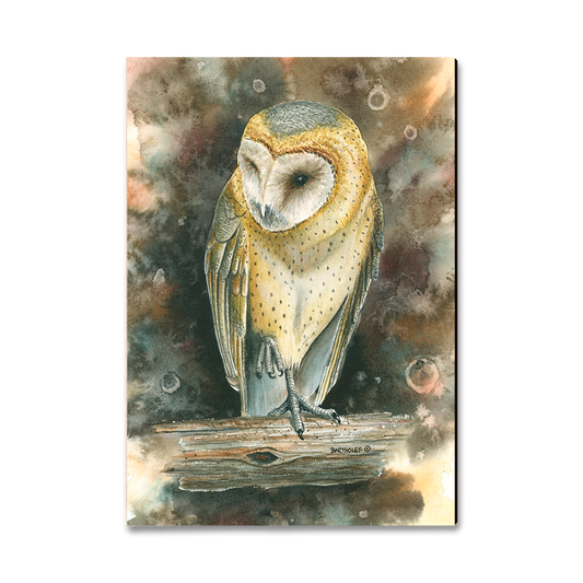 Magnet: Classic Edge - Bartholet's Barn Owl