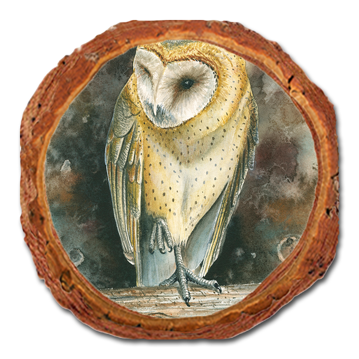 Coaster: Live Edge - Bartholet's Barn Owl