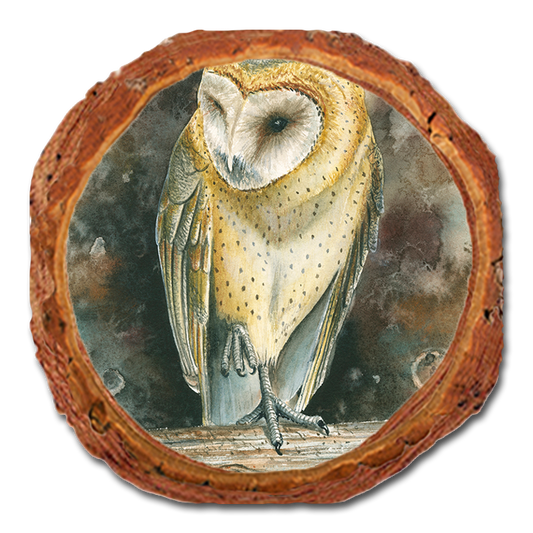 Coaster: Live Edge - Bartholet's Barn Owl