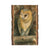 Bartholet's Barn Owl  - Live Edge Live Edge Postcard (5pk // $2.80ea)