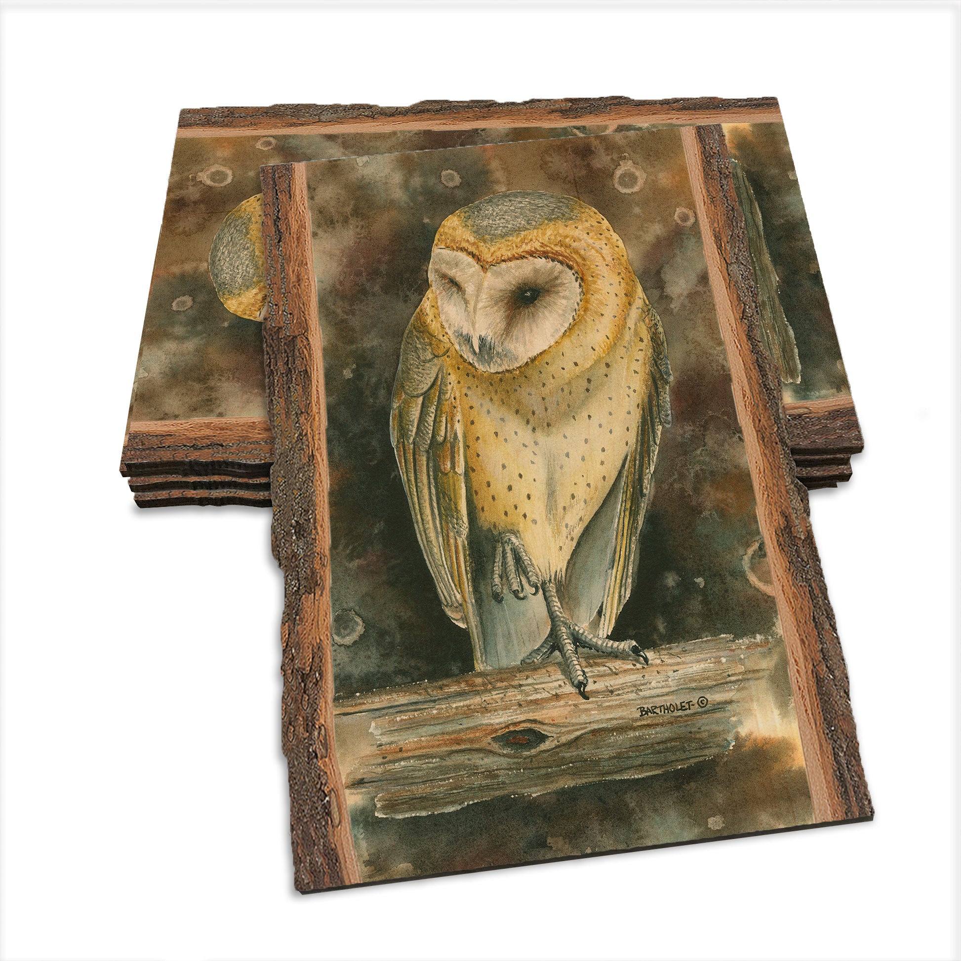 Bartholet's Barn Owl  - Live Edge Live Edge Postcard (5pk // $2.80ea)