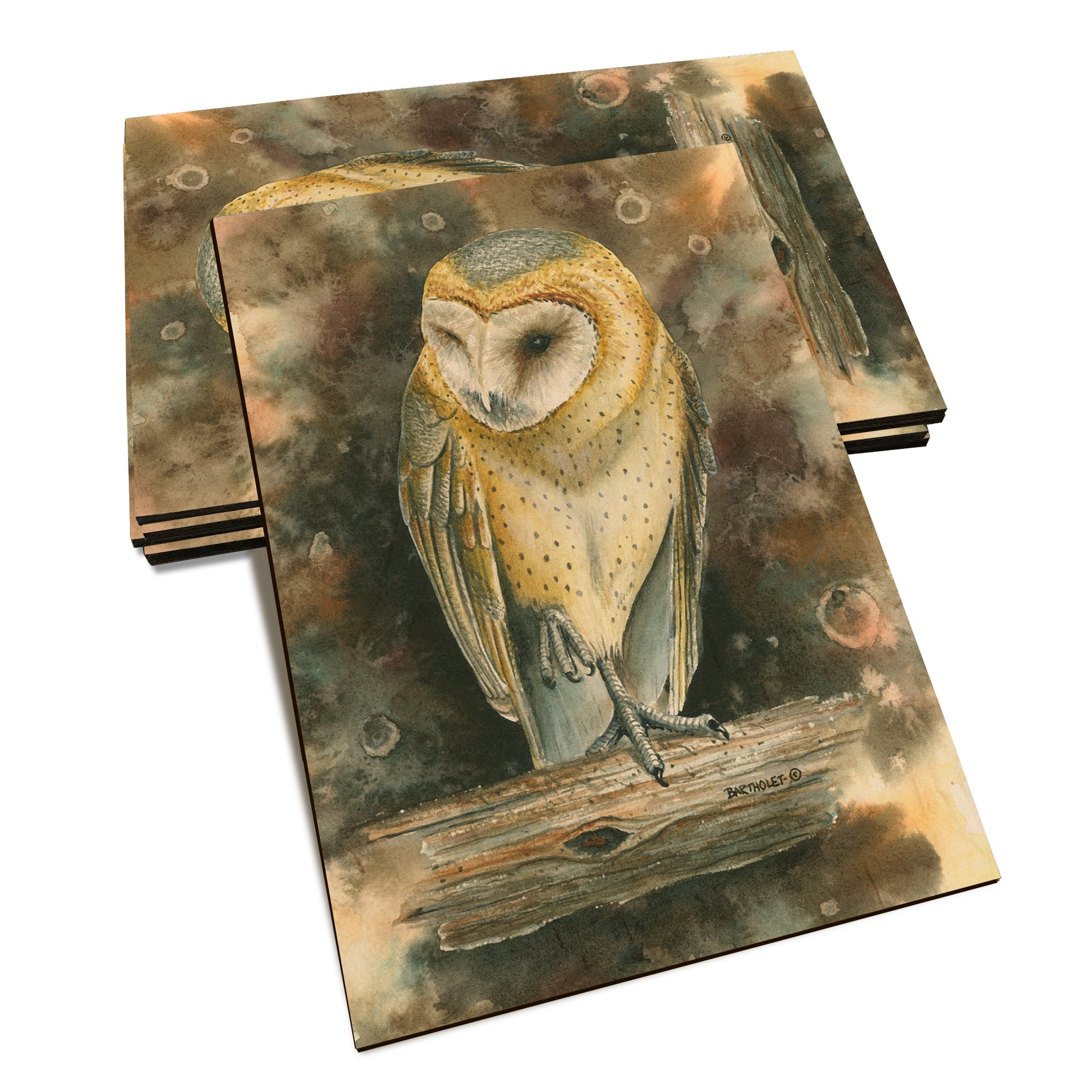 Bartholet's Barn Owl  - Classic Edge Classic Edge Postcard (5pk // $2.80ea)