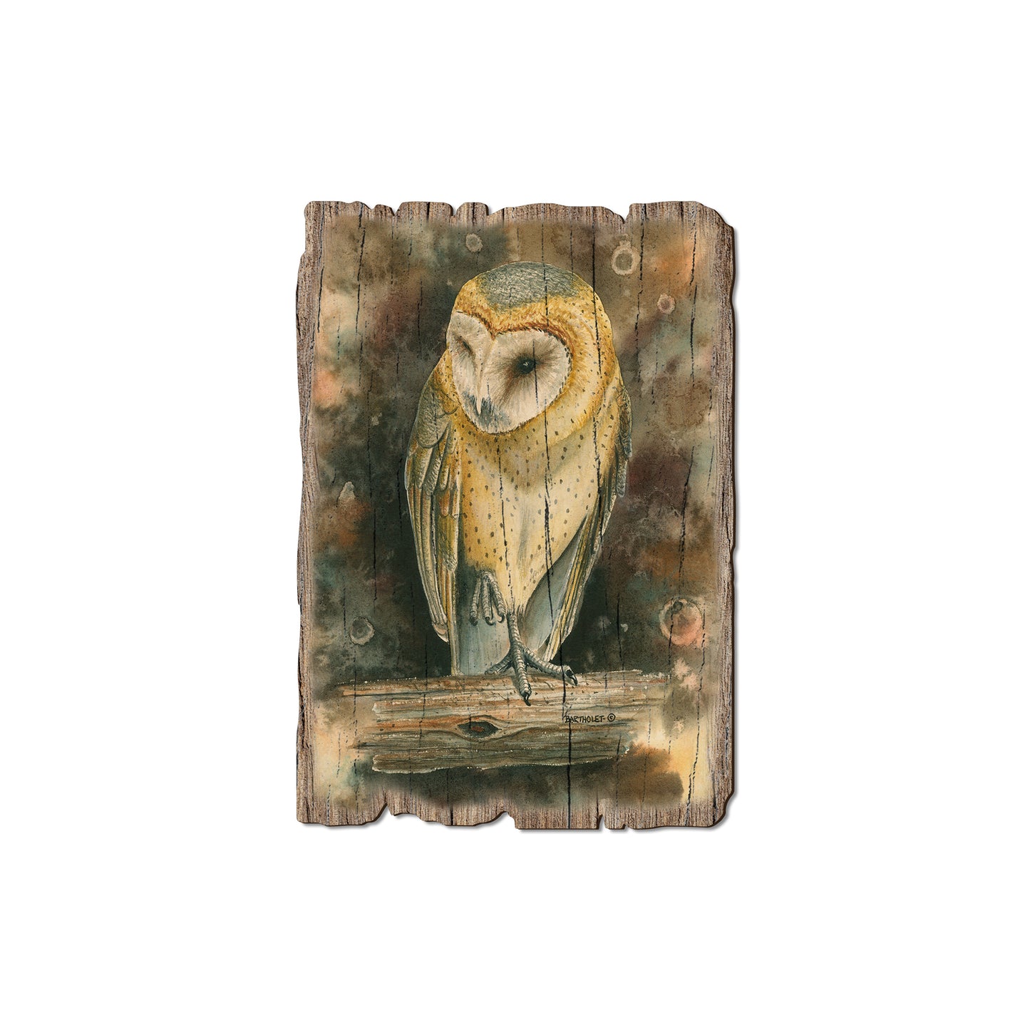 Bartholet's Barn Owl - Rustic Edge Postcards & Magnets Rustic Edge Magnet (5pk // $2.80ea)