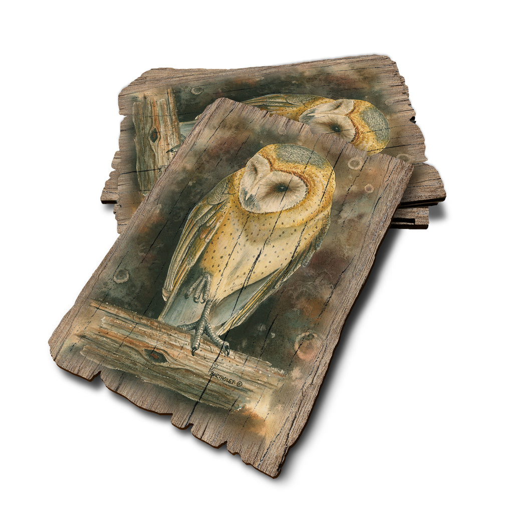 Bartholet's Barn Owl - Weathered Edge Rustic Edge Postcard (5pk // $2.80ea)