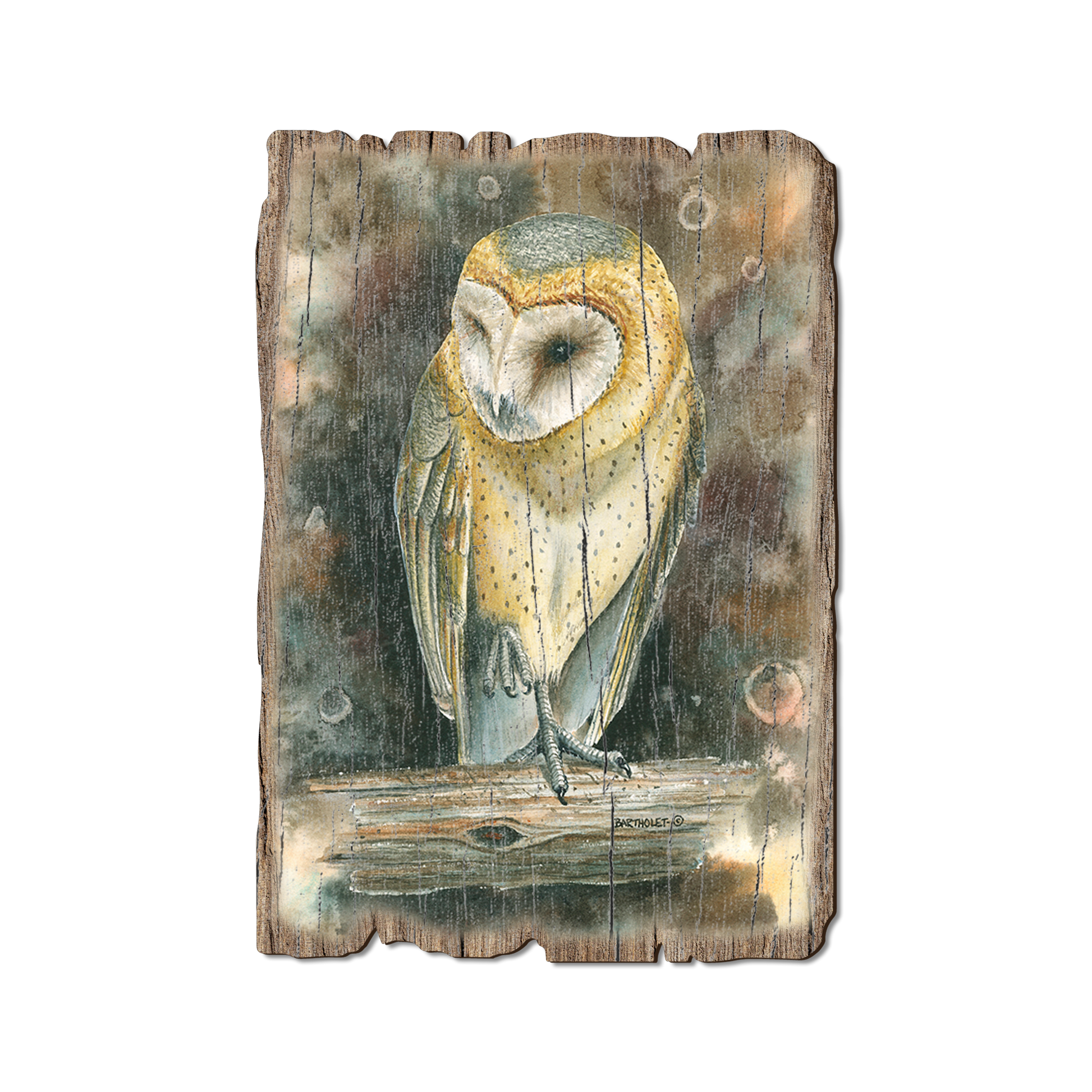 Greeting Card: Weathered Edge - Bartholet's Barn Owl