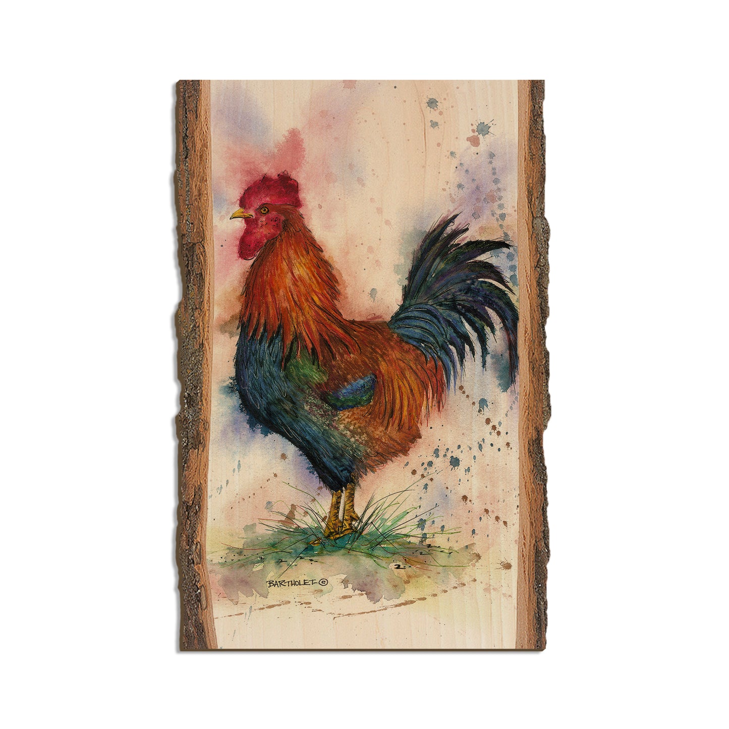 Bartholet's Barnyard Rooster  - Live Edge Live Edge Magnet (5pk // $2.80ea)