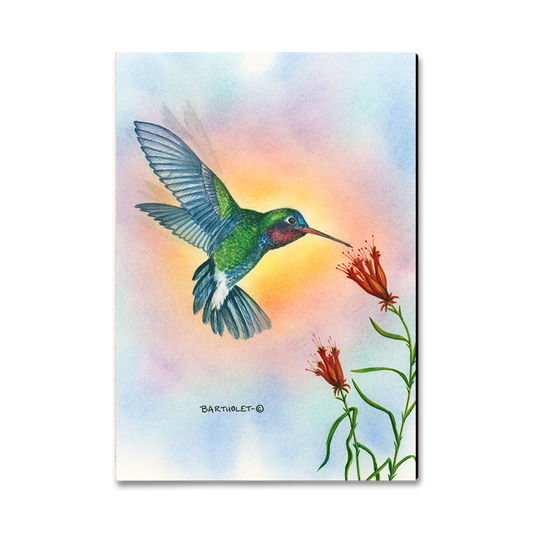 Greeting Card: Classic Edge - Bartholet's Broad Bill