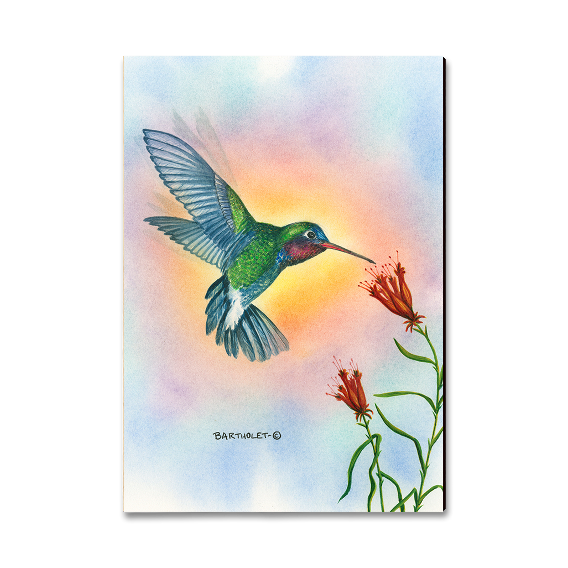 Ornament: Classic Edge - Bartholet's Broad Bill