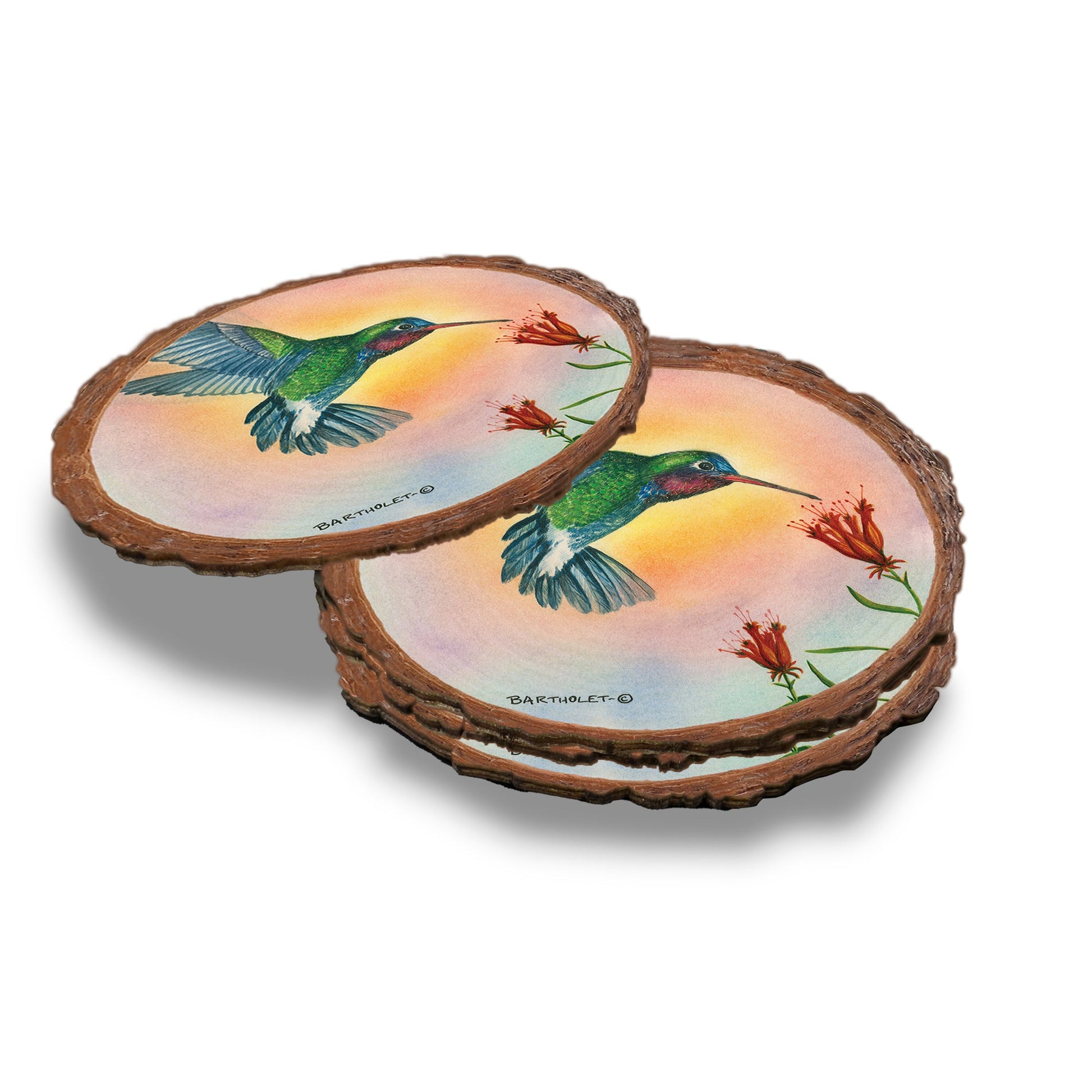 Broad-Billed Hummingbird - Live Edge Live Edge Coaster (5pk // $2.80ea)