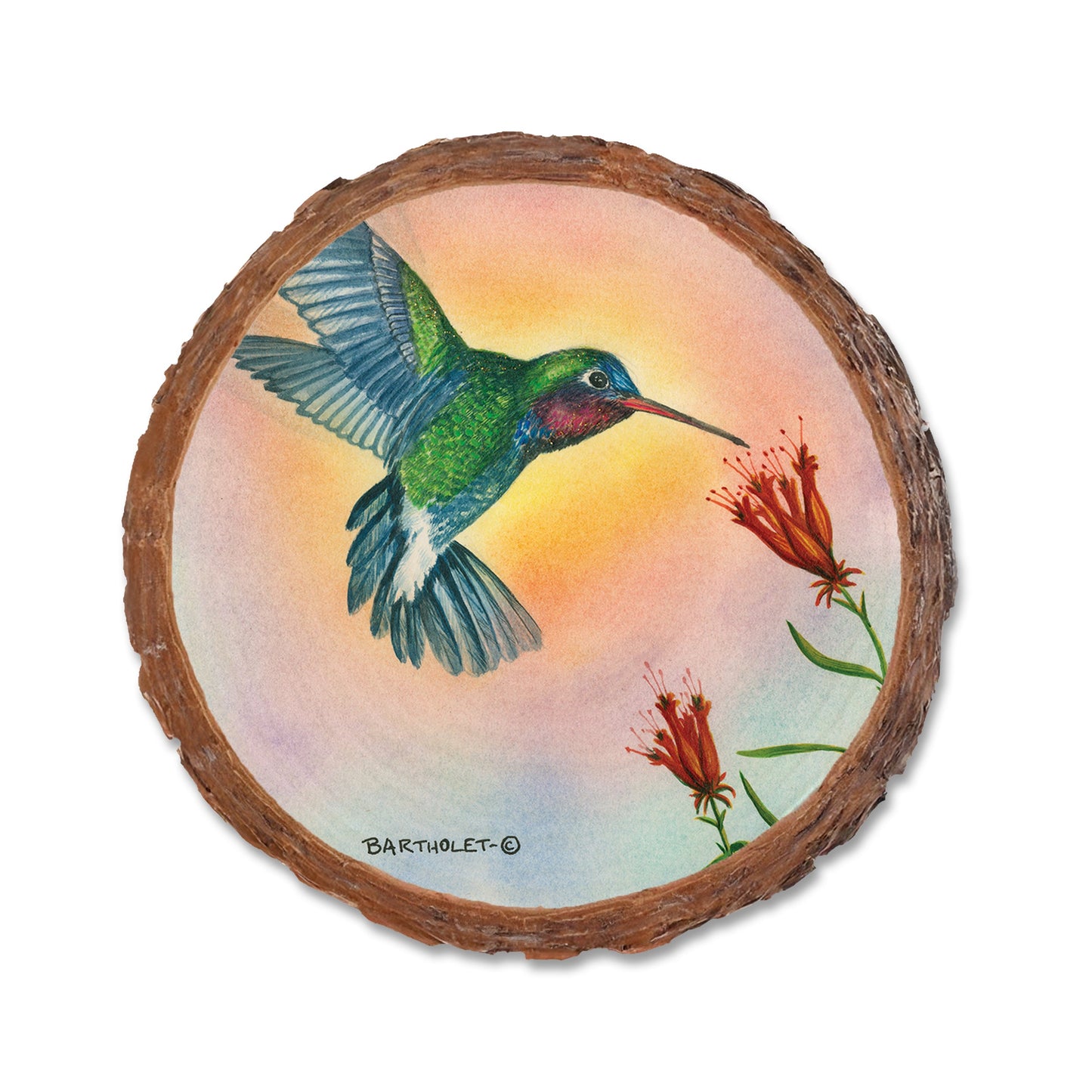 Broad-Billed Hummingbird - Live Edge Live Edge Coaster (5pk // $2.80ea)