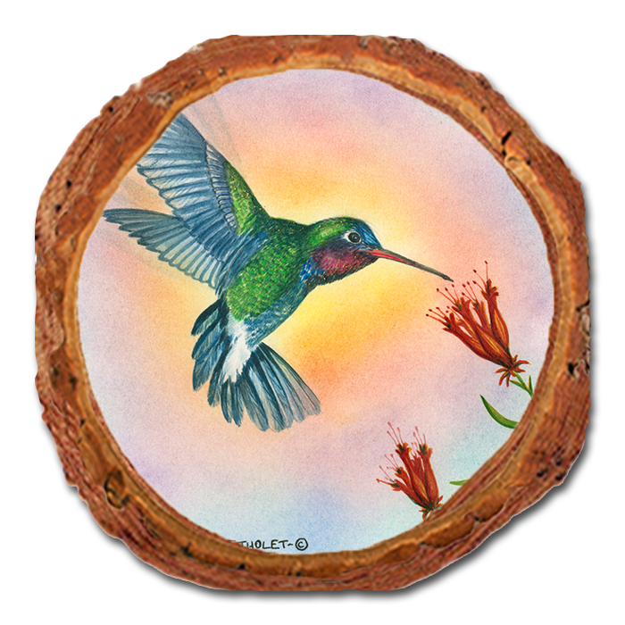 Coaster: Live Edge - Bartholet's Broad Bill