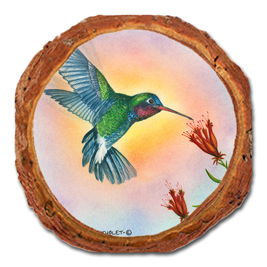 Coaster: Live Edge - Bartholet's Broad Bill