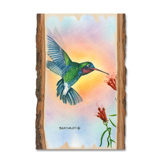 Magnet: Live Edge - Bartholet's Broad Bill