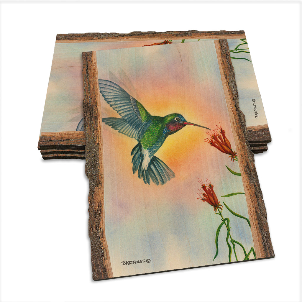 Bartholet's Broad Bill  - Live Edge Live Edge Postcard (5pk // $2.80ea)