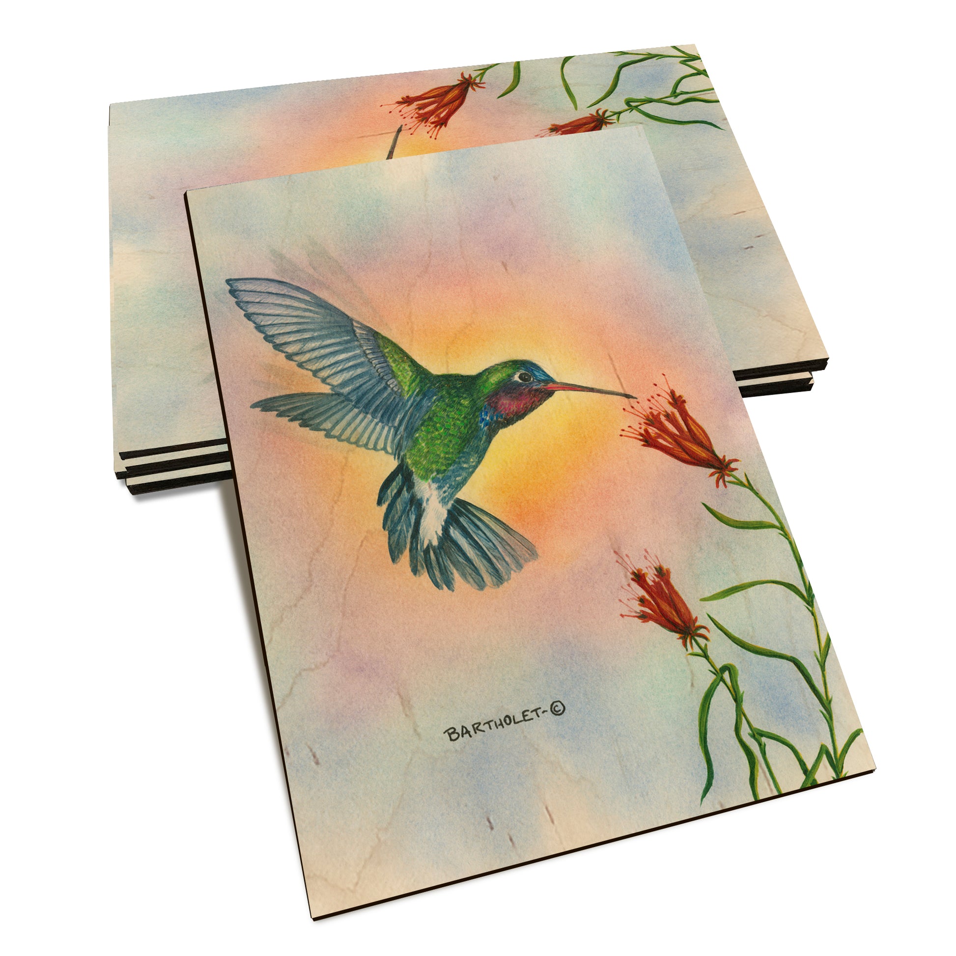 Bartholet's Broad Bill  - Classic Edge Classic Edge Postcard (5pk // $2.80ea)