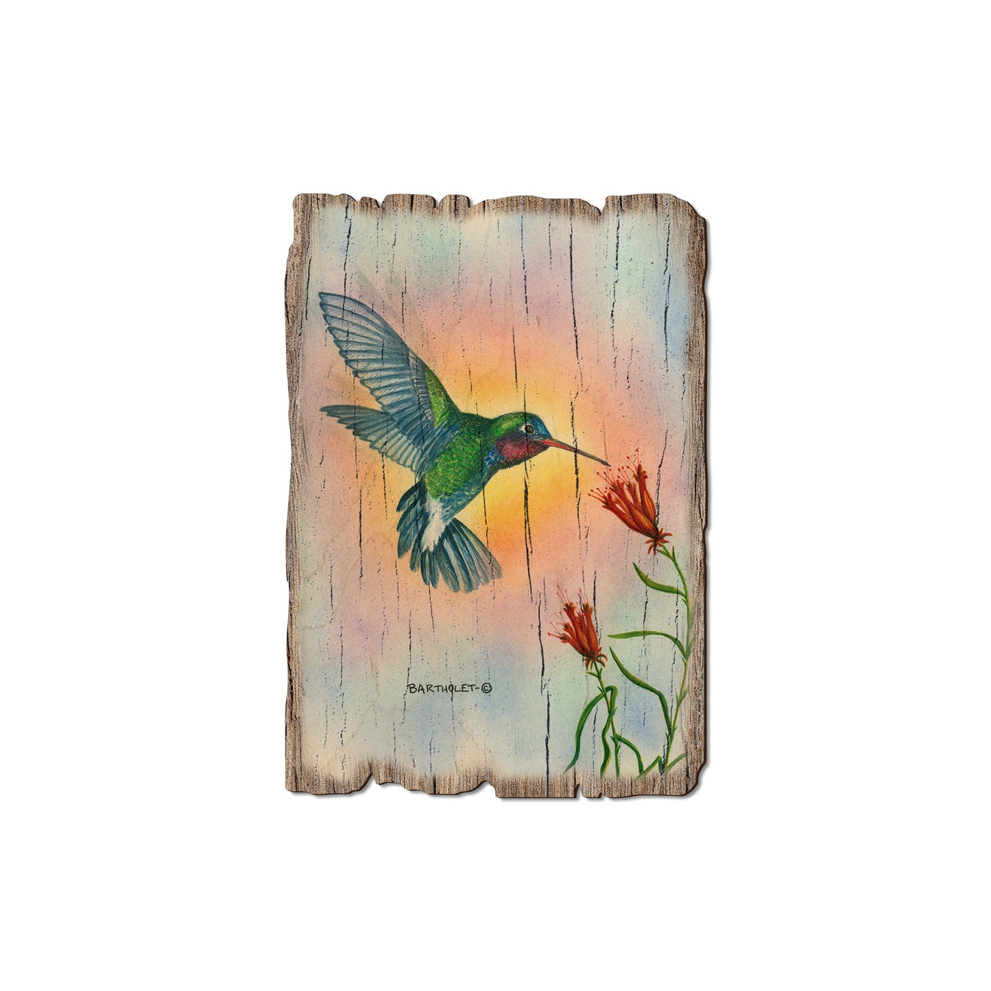 Bartholet's Broad Bill - Rustic Edge Postcards & Magnets Rustic Edge Magnet (5pk // $2.80ea)