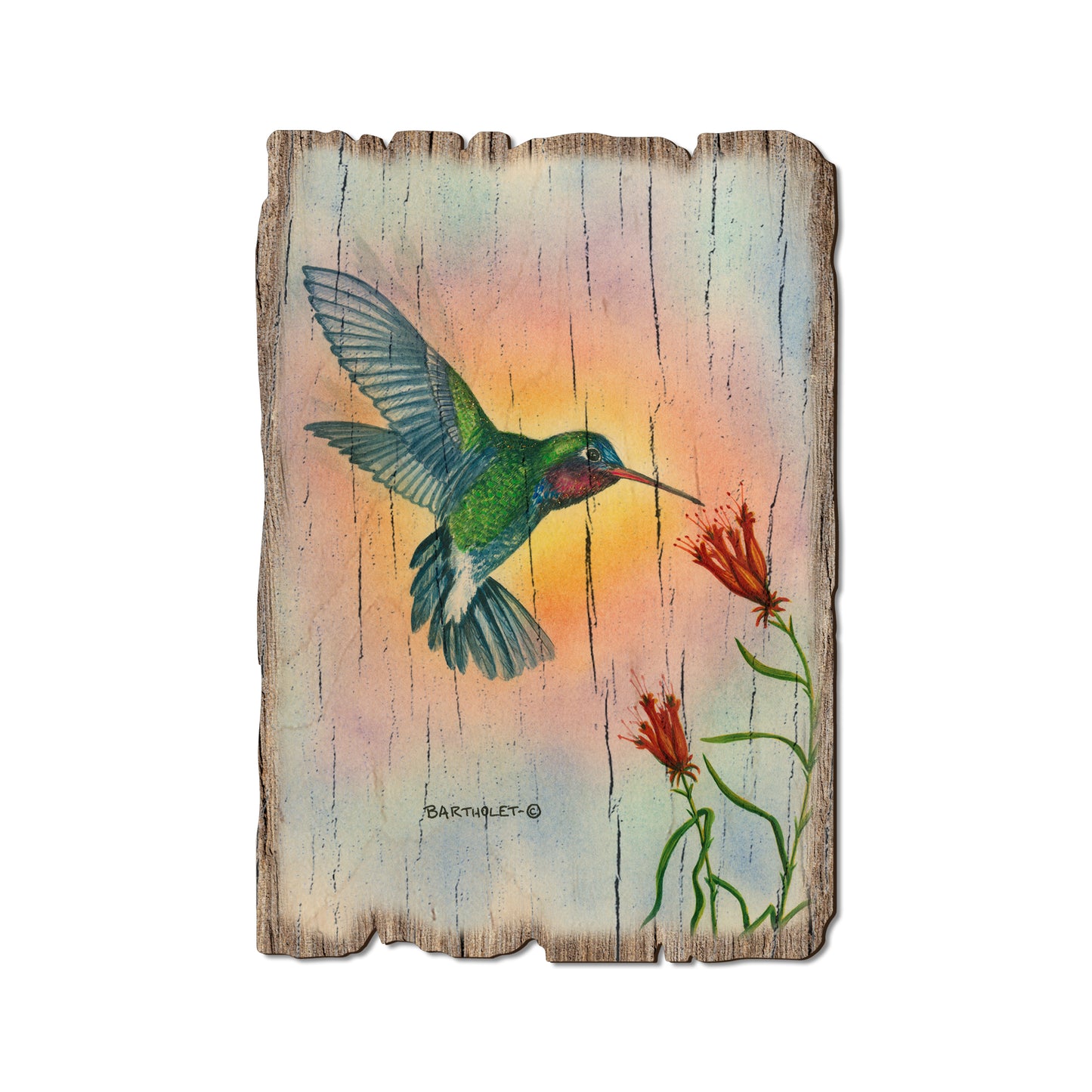 Bartholet's Broad Bill - Rustic Edge Postcards & Magnets Rustic Edge Postcard (5pk // $2.80ea)