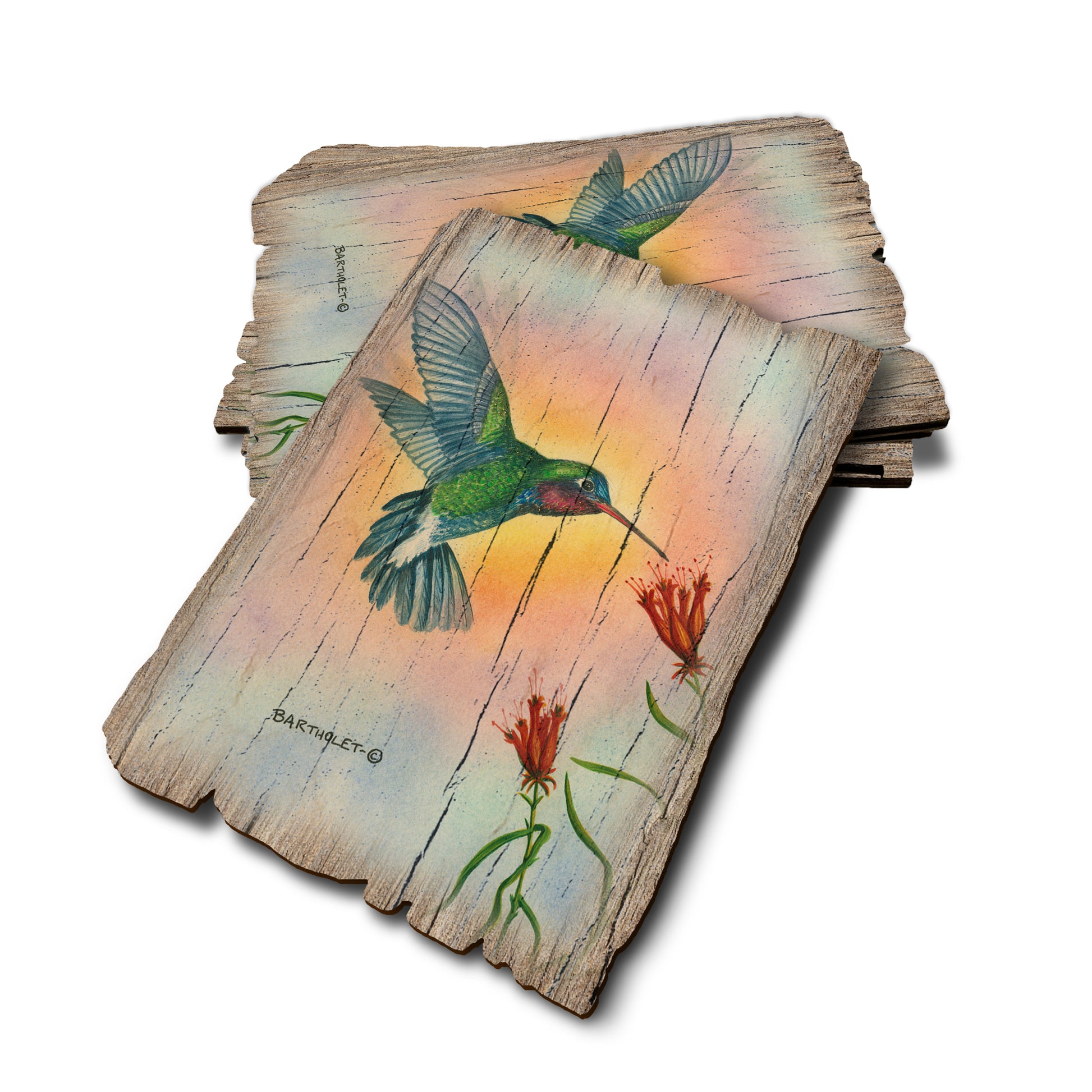 Bartholet's Broad Bill - Weathered Edge Rustic Edge Postcard (5pk // $2.80ea)
