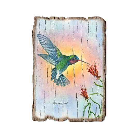 Greeting Card: Weathered Edge - Bartholet's Broad Bill (Pack of 5)