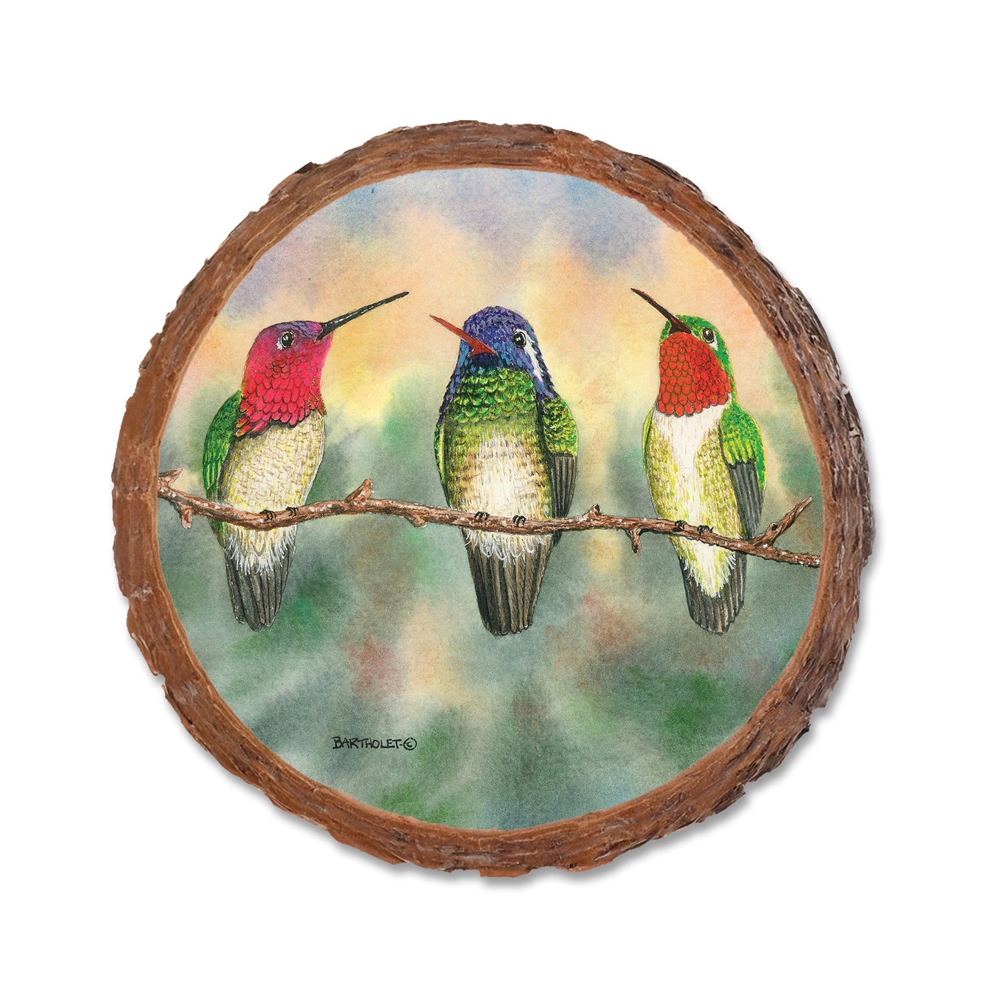 Bartholet's Branch Managers  - Live Edge Live Edge Coaster (5pk // $2.80ea)