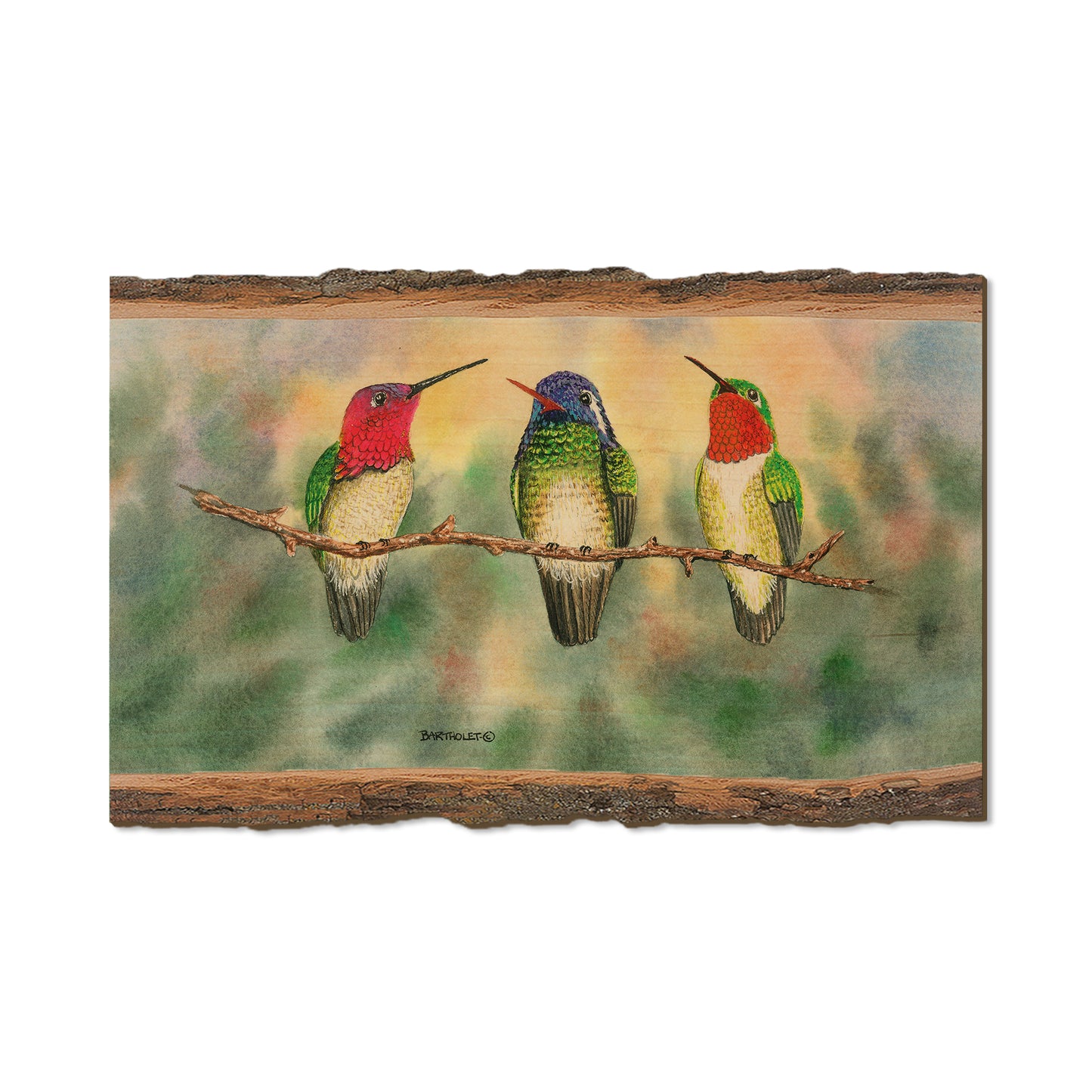 Bartholet's Branch Managers  - Live Edge Live Edge Magnet (5pk // $2.80ea)