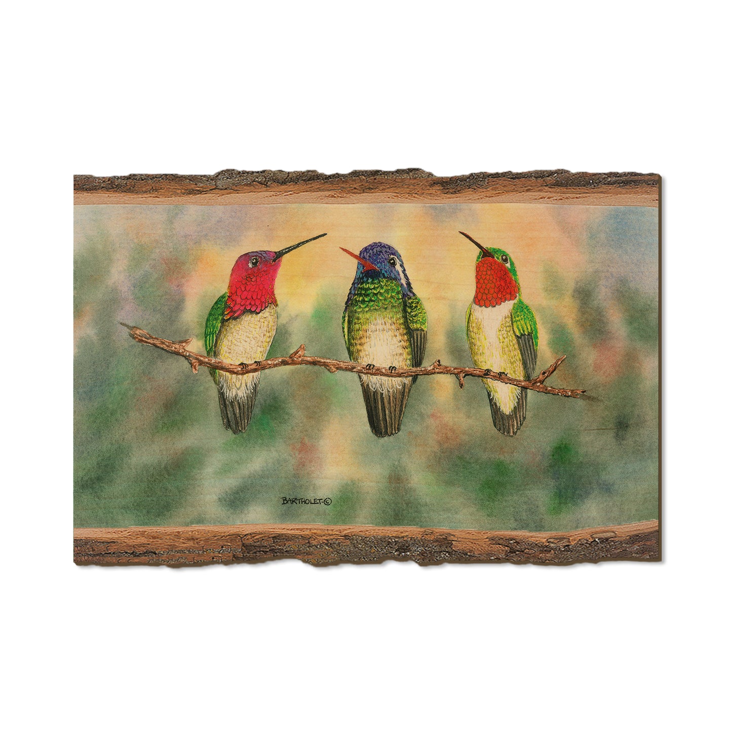 Bartholet's Branch Managers  - Live Edge Live Edge Postcard (5pk // $2.80ea)