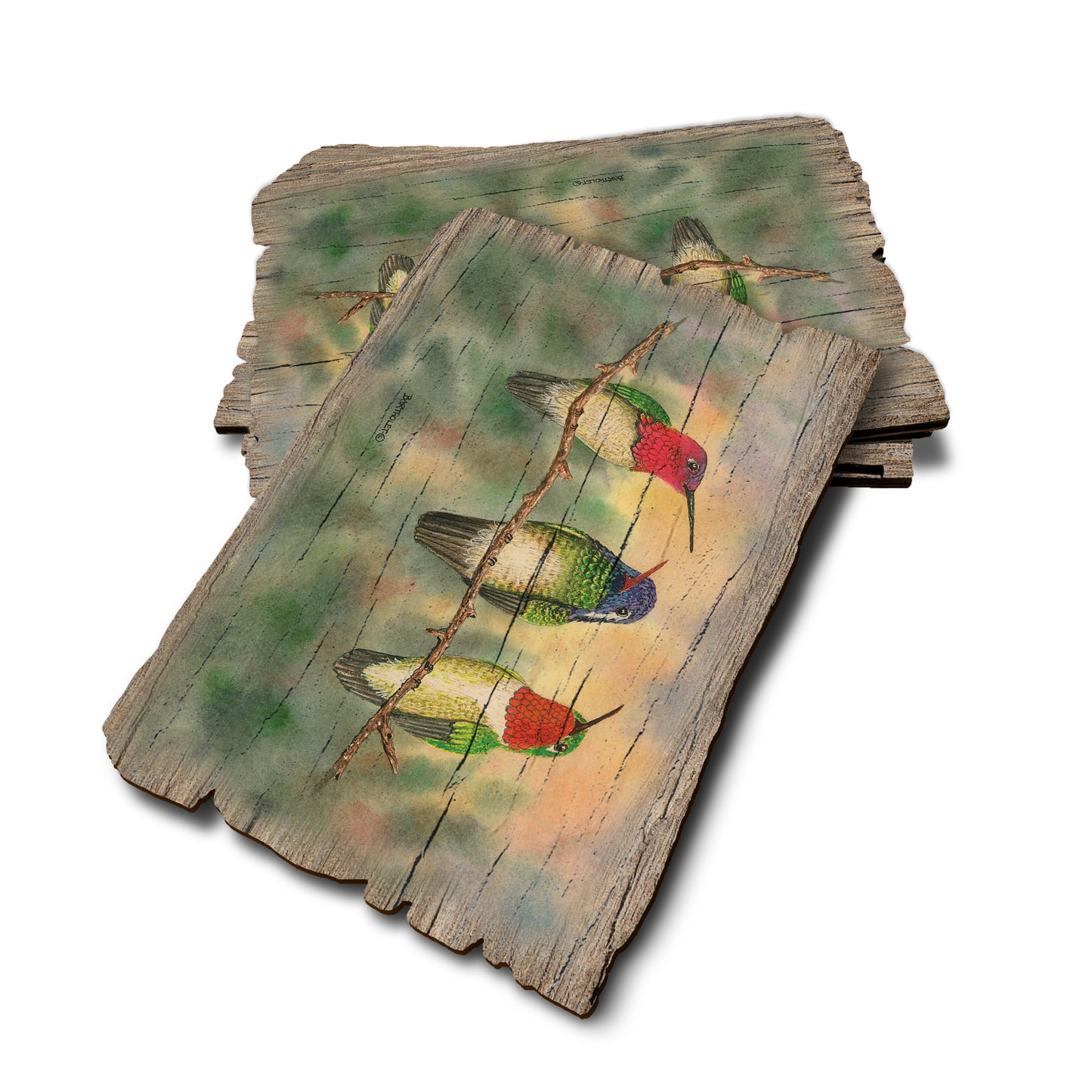 Bartholet's Branch Managers - Weathered Edge Rustic Edge Postcard (5pk // $2.80ea)