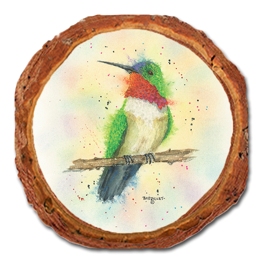 Coaster: Live Edge - Bartholet's Break Time (Pack of 5)