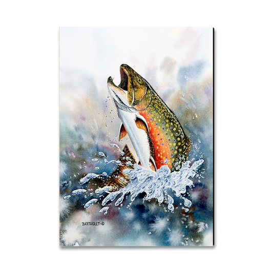 Magnet: Classic Edge - Bartholet's Brook Trout