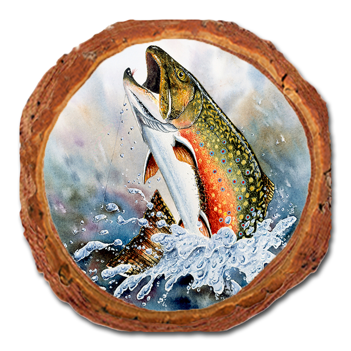 Coaster: Live Edge - Bartholet's Brook Trout