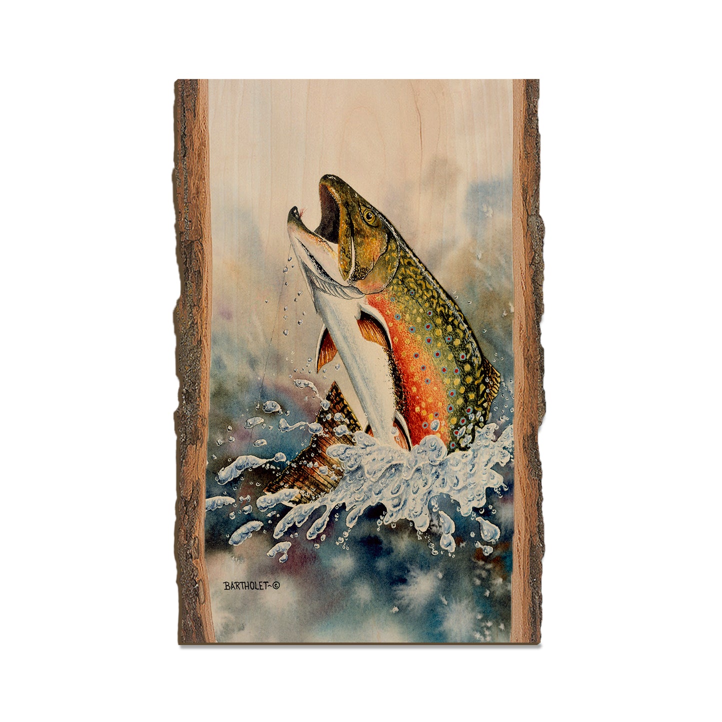 Bartholet's Brook Trout  - Live Edge Live Edge Magnet (5pk // $2.80ea)