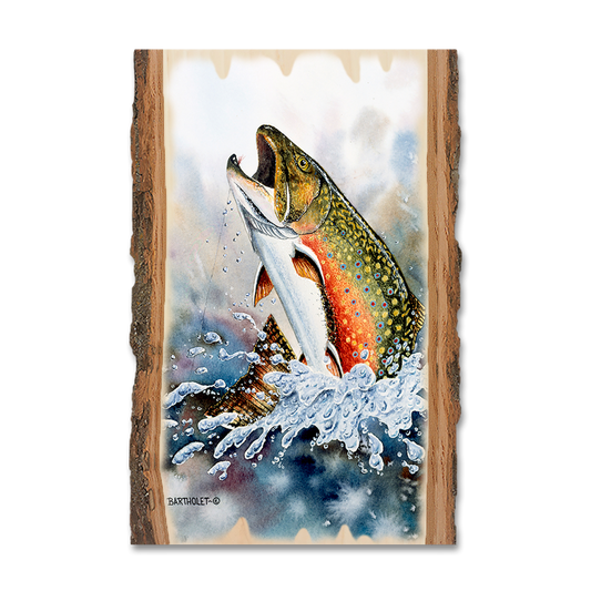 Magnet: Live Edge - Bartholet's Brook Trout