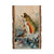 Bartholet's Brook Trout  - Live Edge Live Edge Postcard (5pk // $2.80ea)