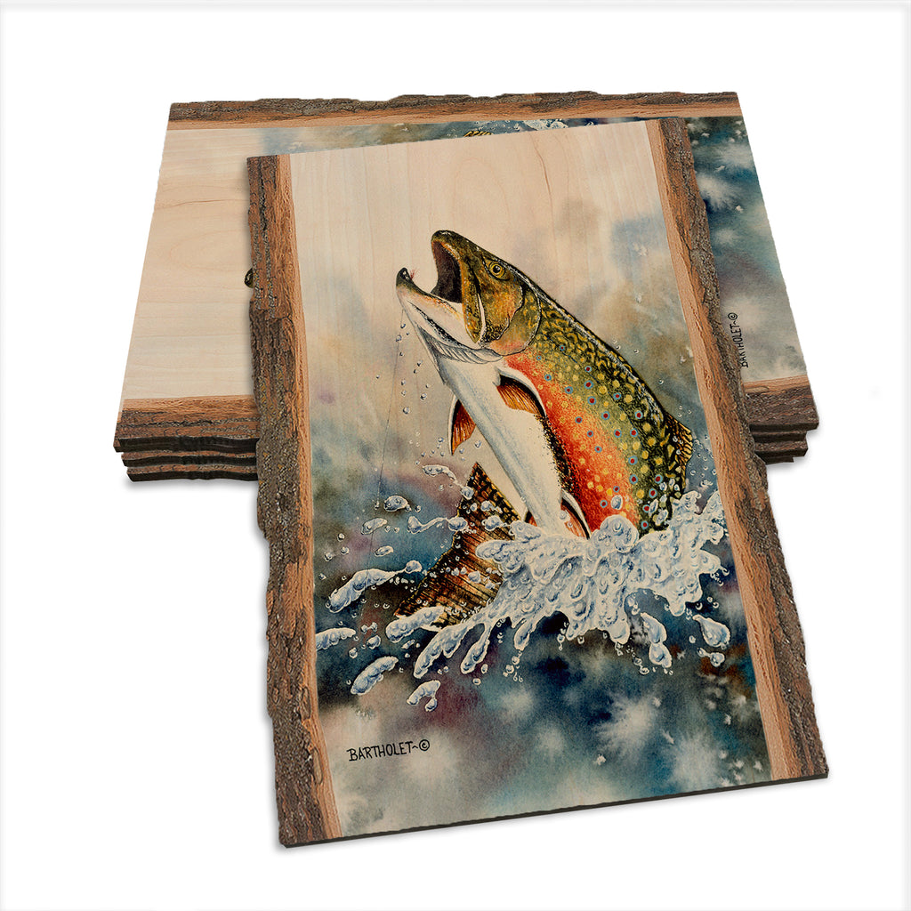 Bartholet's Brook Trout  - Live Edge Live Edge Postcard (5pk // $2.80ea)
