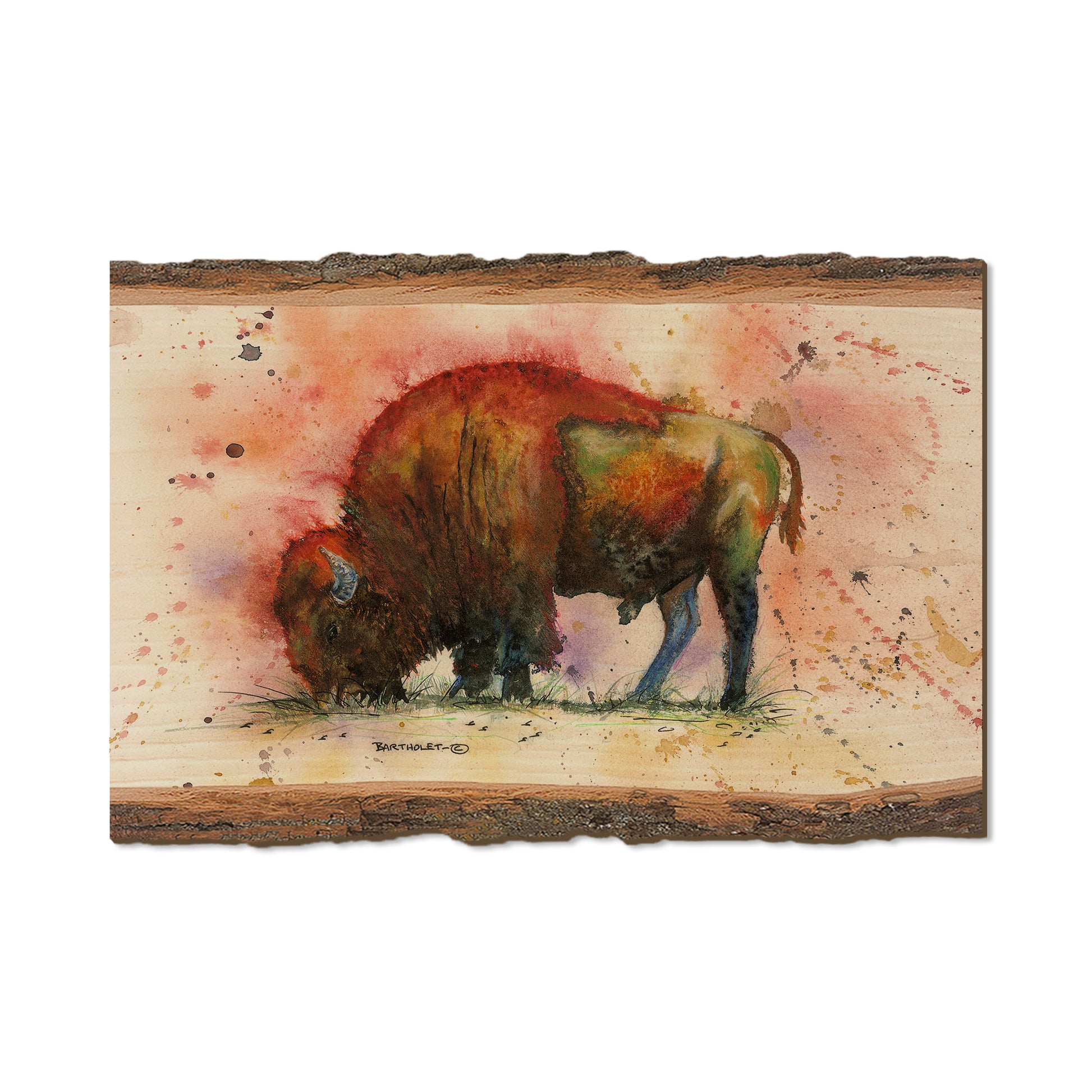 Bartholet's The Buff  - Live Edge Live Edge Postcard (5pk // $2.80ea)