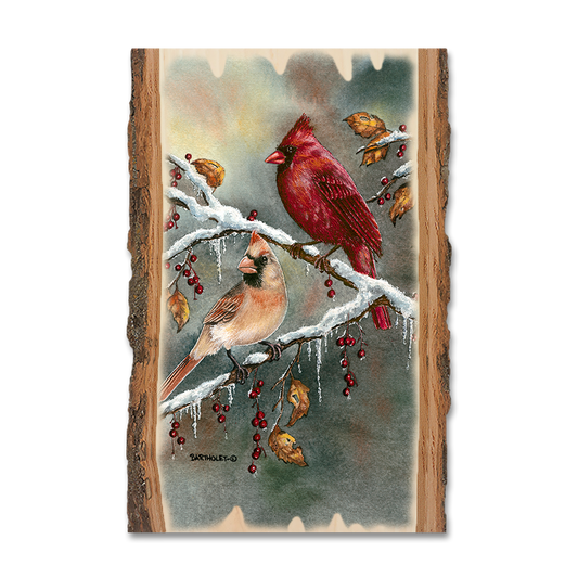 Greeting Card: Live Edge - Bartholet's Cardinals