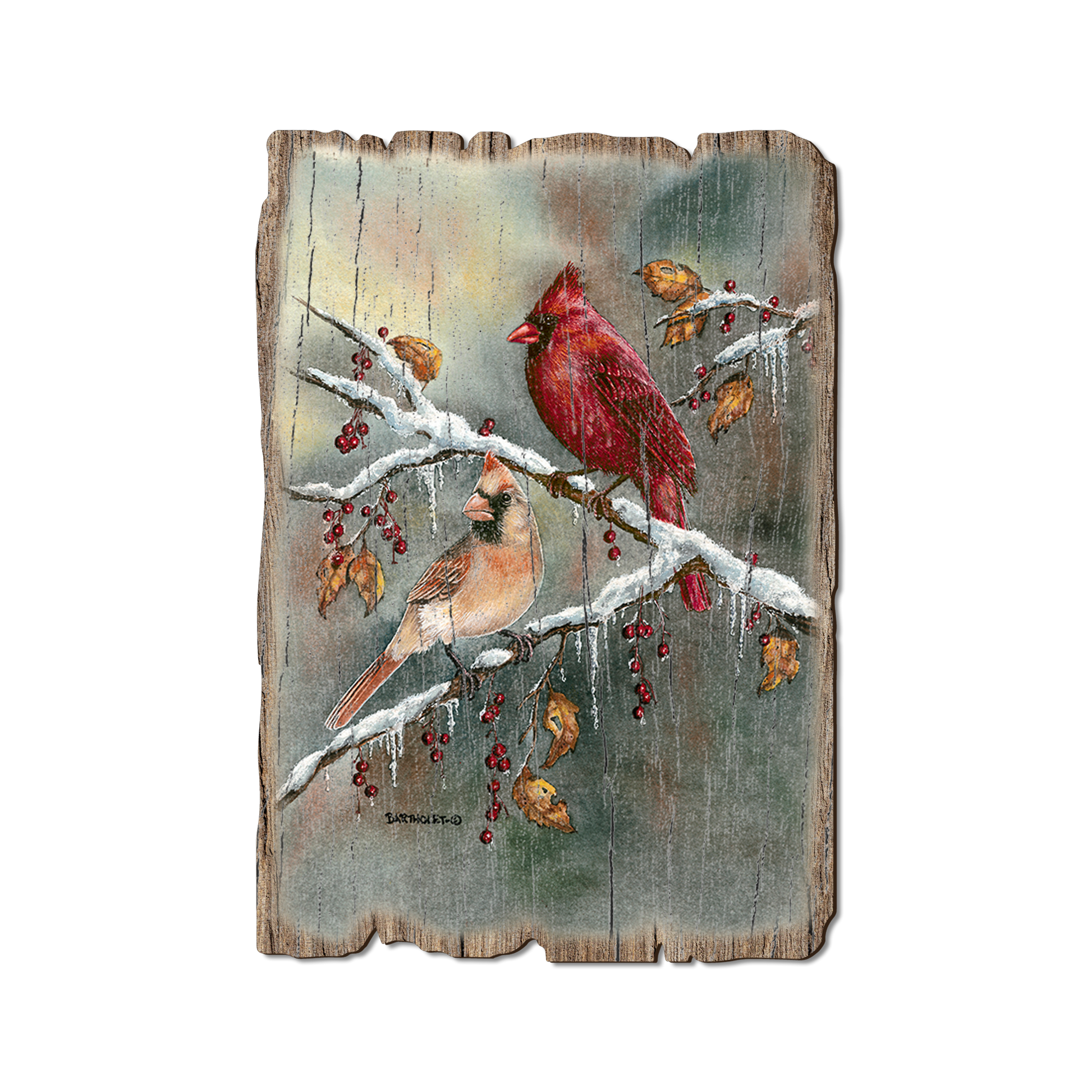 Postcard: Weathered Edge - Bartholet's Cardinals