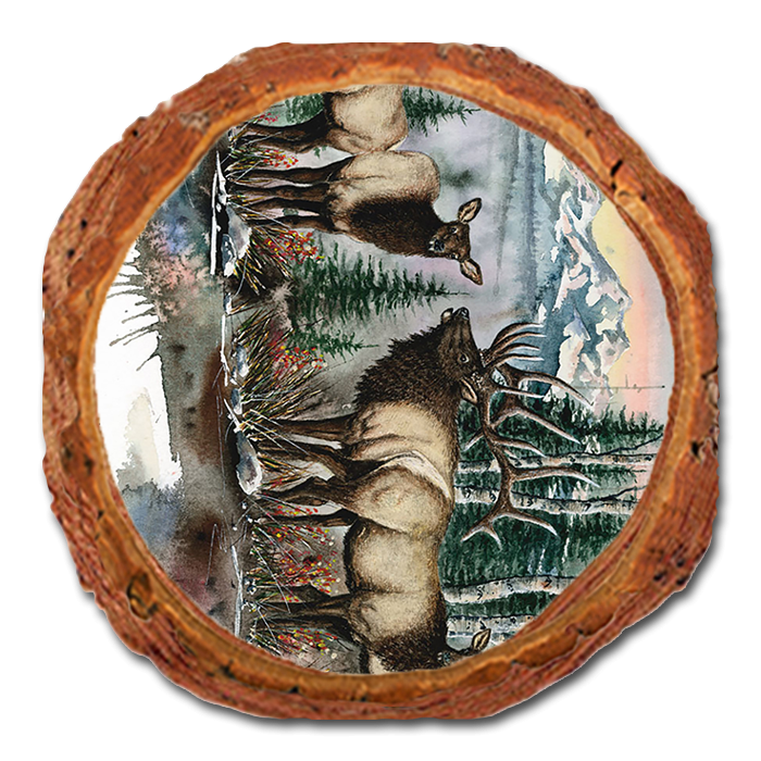 Coaster: Live Edge - Bartholet's Clear Cut (Pack of 5)