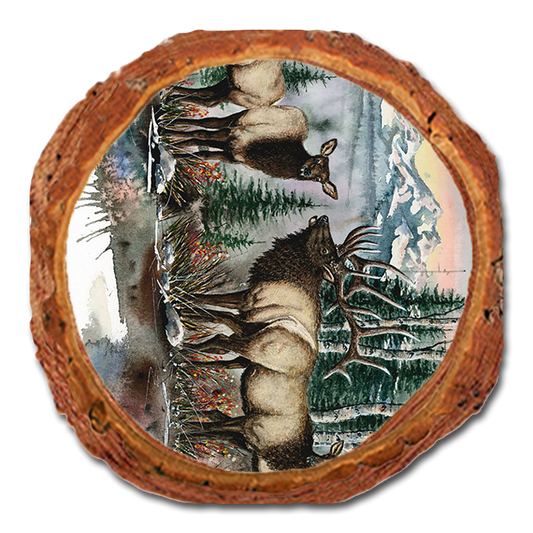 Coaster: Live Edge - Bartholet's Clear Cut (Pack of 5)