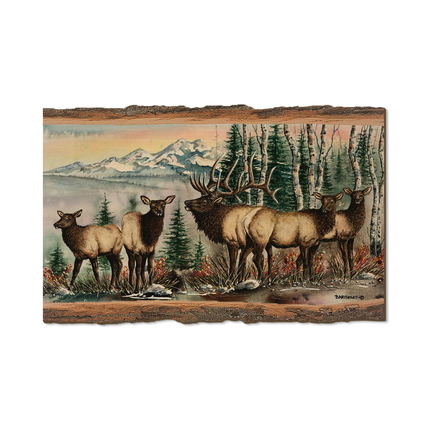 Bartholet's Clear Cut  - Live Edge Live Edge Magnet (5pk // $2.80ea)
