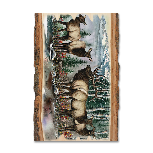 Magnet: Live Edge - Bartholet's Clear Cut