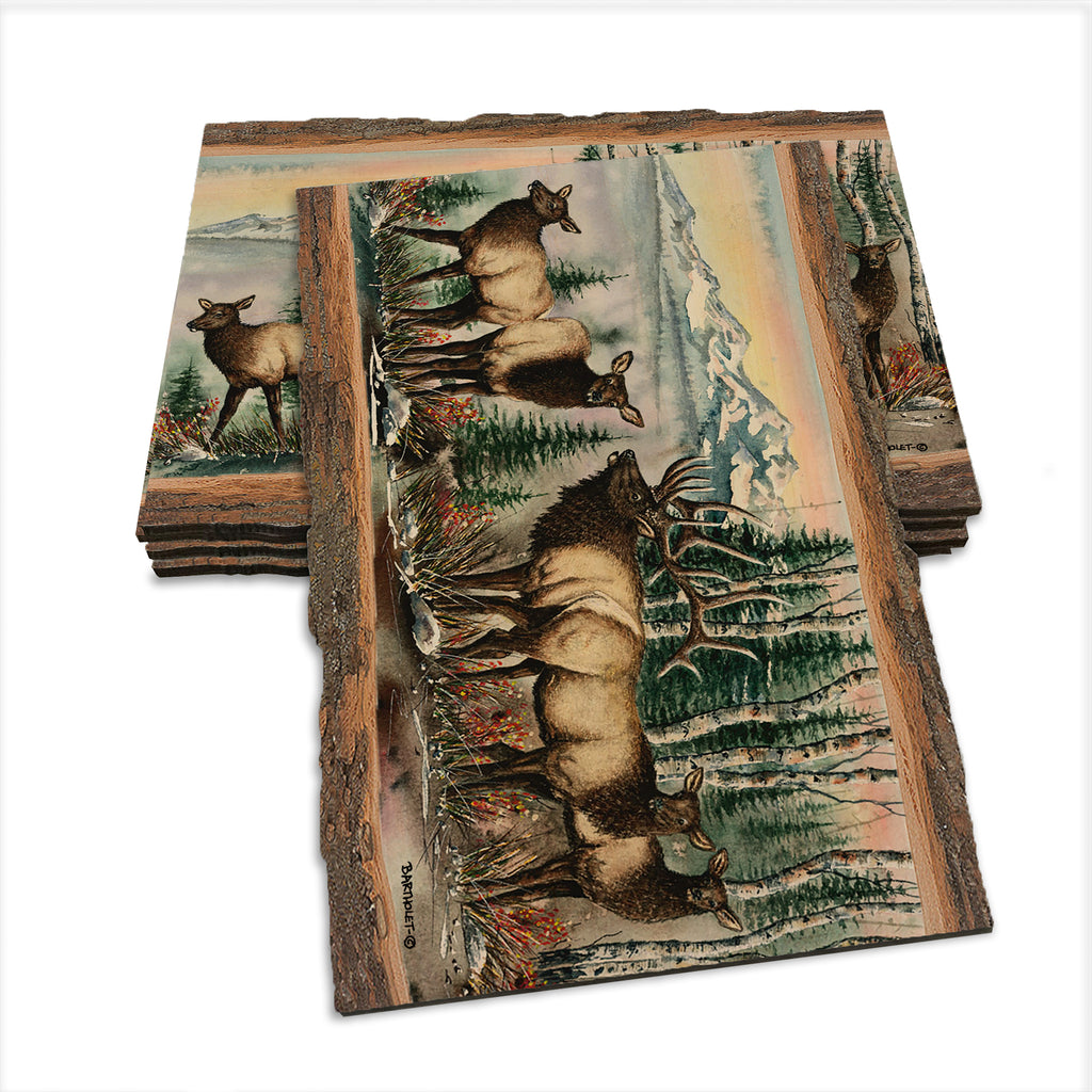 Bartholet's Clear Cut  - Live Edge Live Edge Postcard (5pk // $2.80ea)