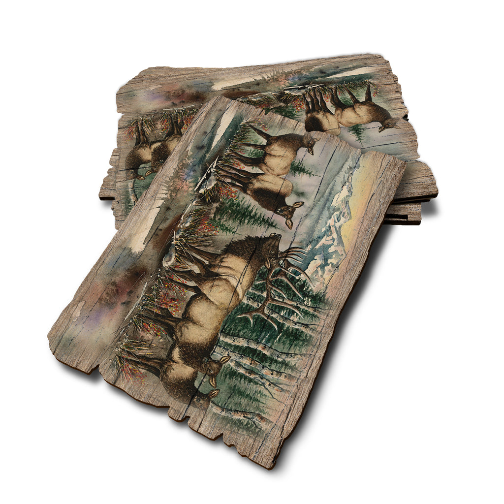 Bartholet's Clear Cut - Weathered Edge Rustic Edge Postcard (5pk // $2.80ea)