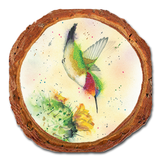Coaster: Live Edge - Bartholet's Cactus Flyby (Pack of 5)