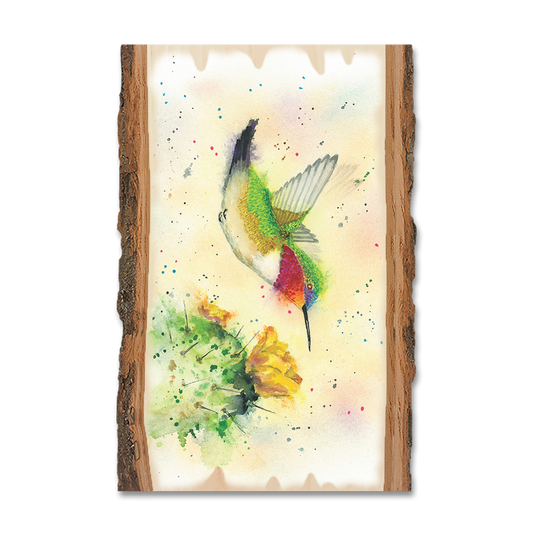 Magnet: Live Edge - Bartholet's Cactus Flyby