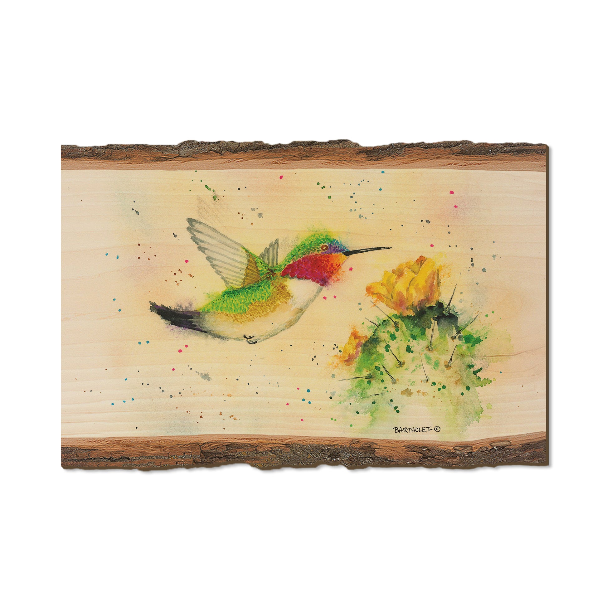 Bartholet's Cactus Flyby  - Live Edge Live Edge Postcard (5pk // $2.80ea)