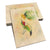 Bartholet's Cactus Flyby  - Classic Edge Classic Edge Postcard (5pk // $2.80ea)